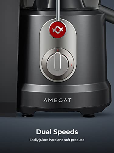 AMEGAT 1300W Centrifugal Juicer for Whole Fruits/Vegetables, 2-Speed