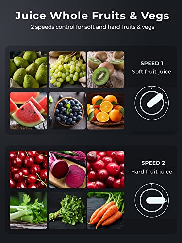 AMEGAT 1300W Centrifugal Juicer for Whole Fruits/Vegetables, 2-Speed