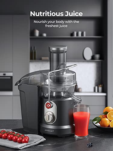 AMEGAT 1300W Centrifugal Juicer for Whole Fruits/Vegetables, 2-Speed