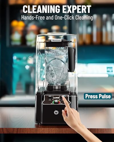 Professional Commercial Blender with Sound Enclosure, 2200W, Black