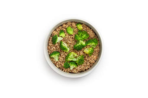 Lekue Microwave Cooker: Rice, Grain, Quinoa - Green