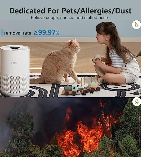 Xiaomi Air Purifier with H13 True HEPA Filter