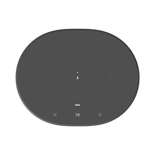 Sonos Move Smart Speaker - Wi-Fi, Bluetooth, Alexa - Black