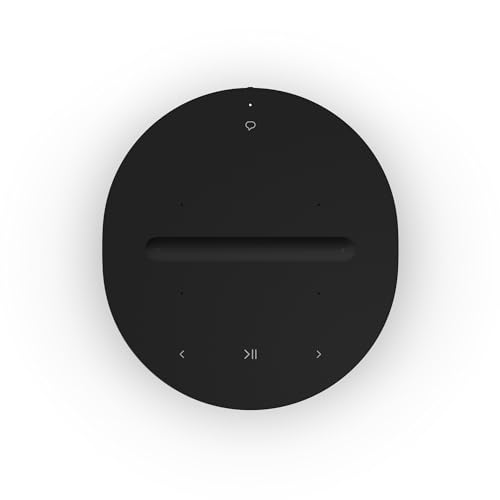 sonos-era-100-speaker