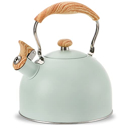 TOPZEA 2.6 Quart Stainless Steel Tea Kettle