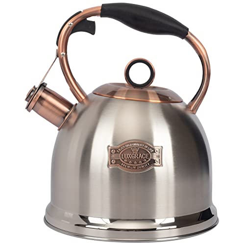 Fast Boiling Food Grade Stainless Steel Tea Kettle