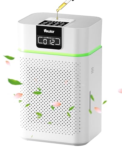 Large Room Air Purifier with True HEPA Filter