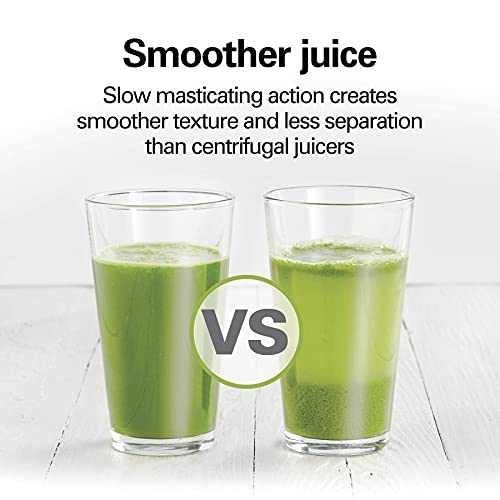 Hamilton Beach Cold Press Masticating Juicer Machine