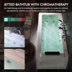 Empava 67" Jetted Spa Bathtub with Heater