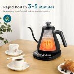 Gooseneck Electric Kettle with Temperature Control