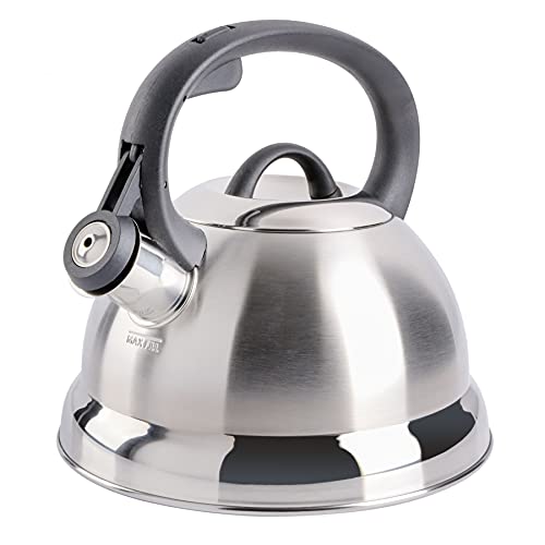 Stainless Steel Whistling Tea Kettle, 1.75-Quart