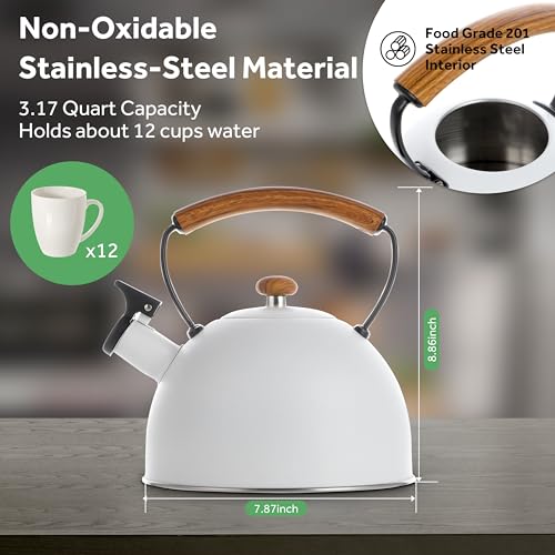 YSSOA 3.17 Quart Stainless Steel Tea Kettle