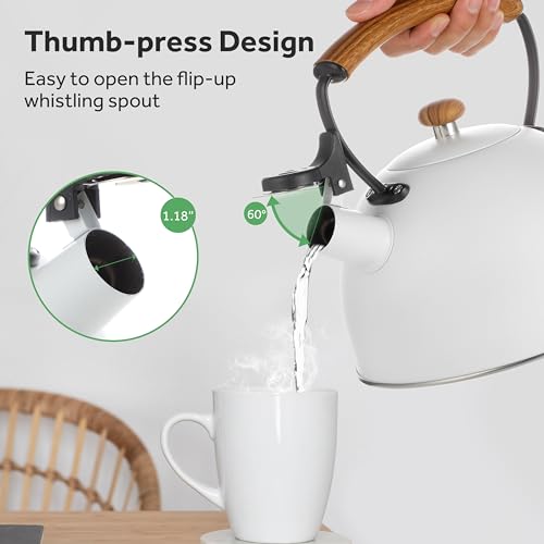 YSSOA 3.17 Quart Stainless Steel Tea Kettle