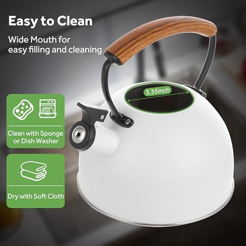 YSSOA 3.17 Quart Stainless Steel Tea Kettle