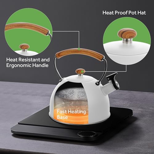 YSSOA 3.17 Quart Stainless Steel Tea Kettle