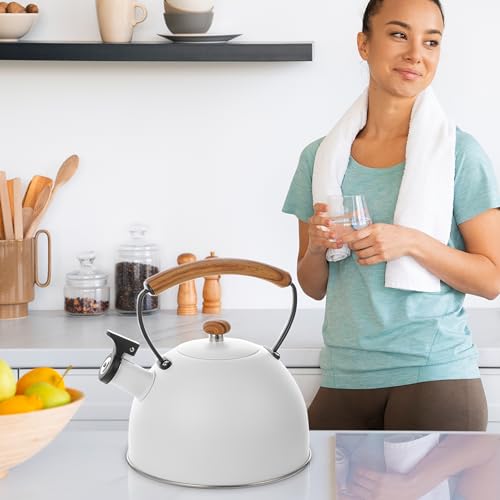 YSSOA 3.17 Quart Stainless Steel Tea Kettle