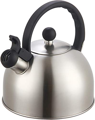 Modern 2L Stainless Steel Whistling Tea Kettle