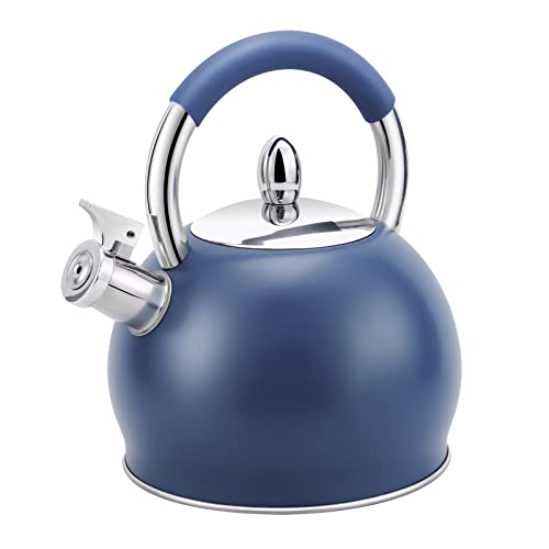 HRHongRui Stainless Steel Whistling Tea Kettle 3.2 Quart