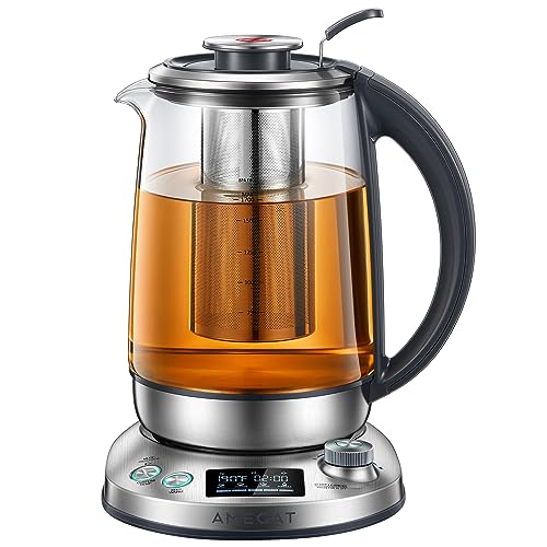 AMEGAT Electric Tea Kettle with Infuser & Temperature Control