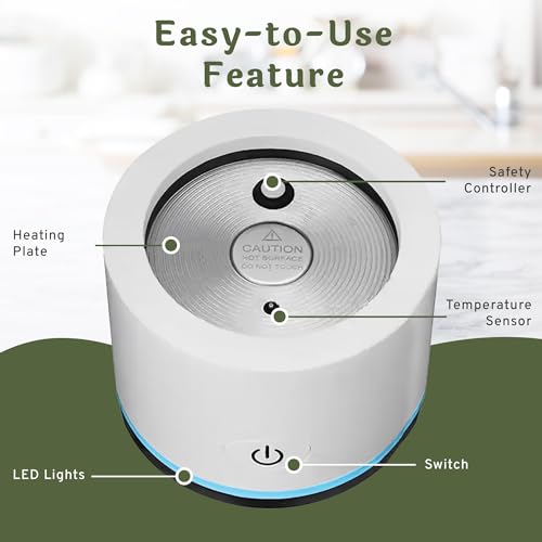 Lyon Electric Kettle with Tea Infuser & Foam Maker
