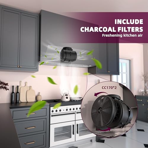 36" FIREGAS Range Hood Insert with 600 CFM