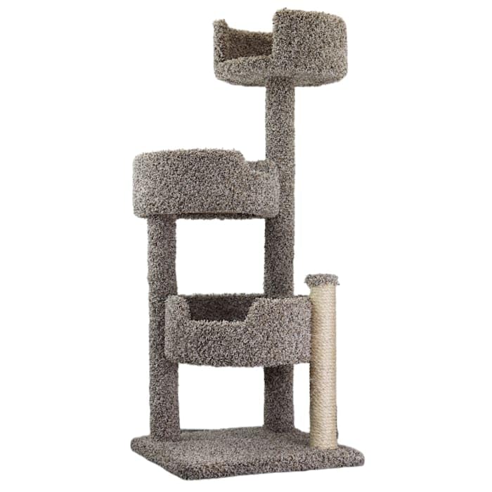Cat Condos