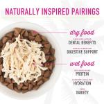 Tiki Cat Variety Pack - 4 Flavors - 12 Cans