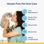 Kelp Soft Chews for Healthy Cat Teeth & Breath