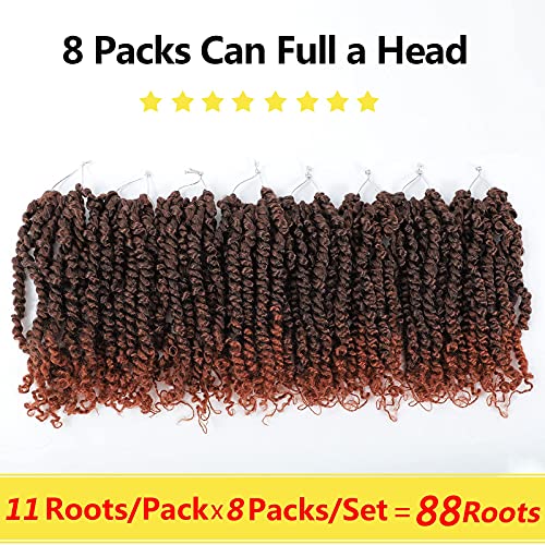 Fulcrum Pre-Looped Passion Twist Crochet Hair Packs