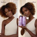 Hydrating Conditioner for Color Treated Hair - Sulfate Free