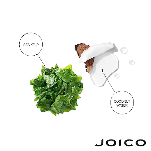 Joico HydraSplash Hydrating Shampoo | Fine, Medium, Dry