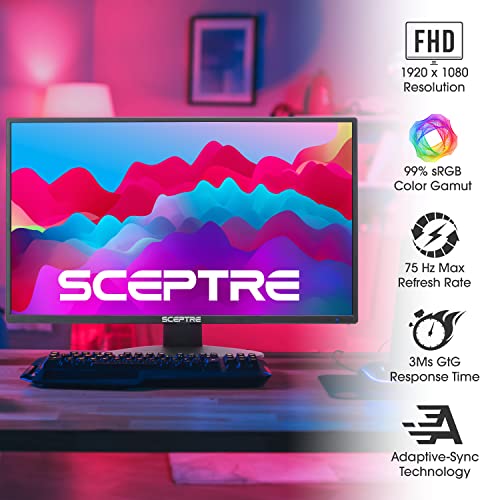 2 Pack FHD 22" Computer Monitor with VESA Mount