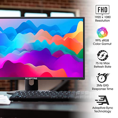 Sceptre 24" HD Monitor with Speakers & Ports