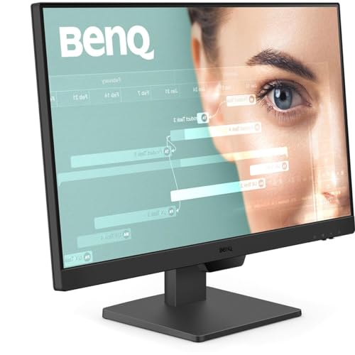 24" FHD BenQ Gaming Monitor with Eye-Care Tech
