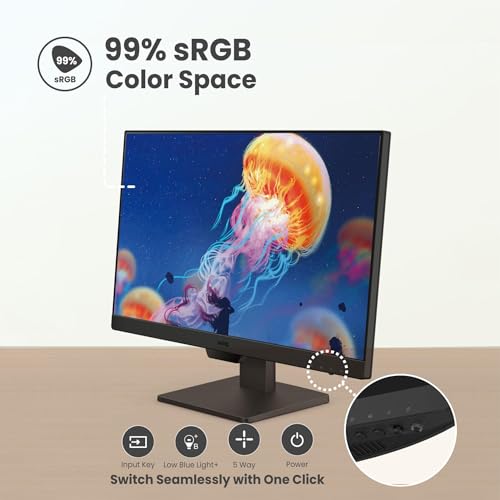 24" FHD BenQ Gaming Monitor with Eye-Care Tech