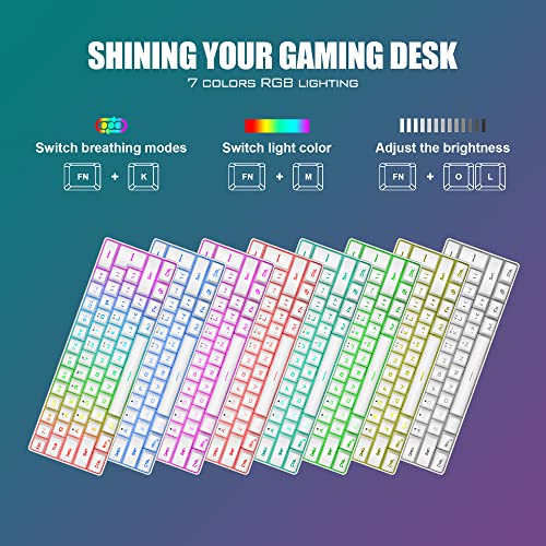 RedThunder Mini Gaming Keyboard and Mouse Combo, RGB Backlit