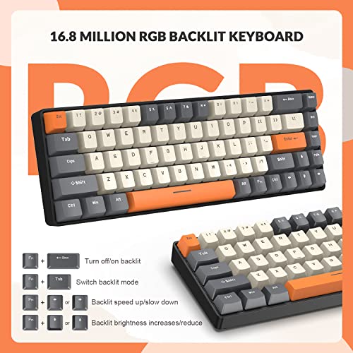 ZIYOU LANG RK-T8PR0 Mechanical Gaming Keyboard Mouse Combo