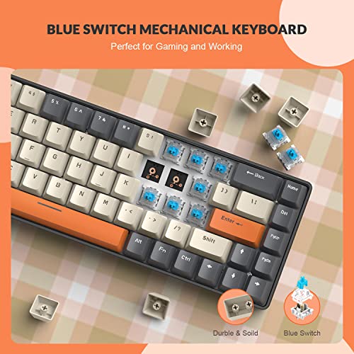 ZIYOU LANG RK-T8PR0 Mechanical Gaming Keyboard Mouse Combo