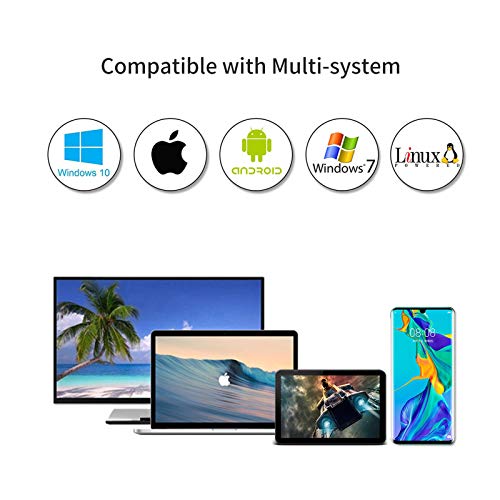 SSK 256G Portable External SSD USB-C Mini Drive