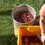 60 Qt. Seafood Boiling Kit with Strainer