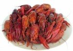 5 lbs. Fresh Crawfish for Frying