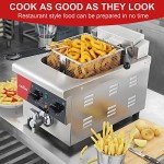 Extra Large 6L Electric Deep Fryer with Timer