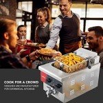 Extra Large 6L Electric Deep Fryer with Timer