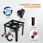ROVSUN 30QT Turkey Fryer & 10QT Fish Fryer Kit