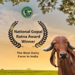 Organic Cold Pressed Peanut Oil - 33 oz