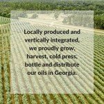 Fresh Press Farms Cold Pressed Peanut Oil - 16.4 Fl Oz