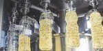 Majola Sunflower Oil - 100% Pure & Non-GMO 1L
