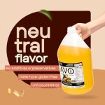 AVO Non-GMO Peanut Oil for Frying, 1 Gallon