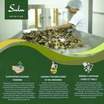 Organic Cold Pressed Raw Avocado Oil - 1 Gallon