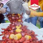 Concentrated Crawfish, Crab, Shrimp Boil - 16oz